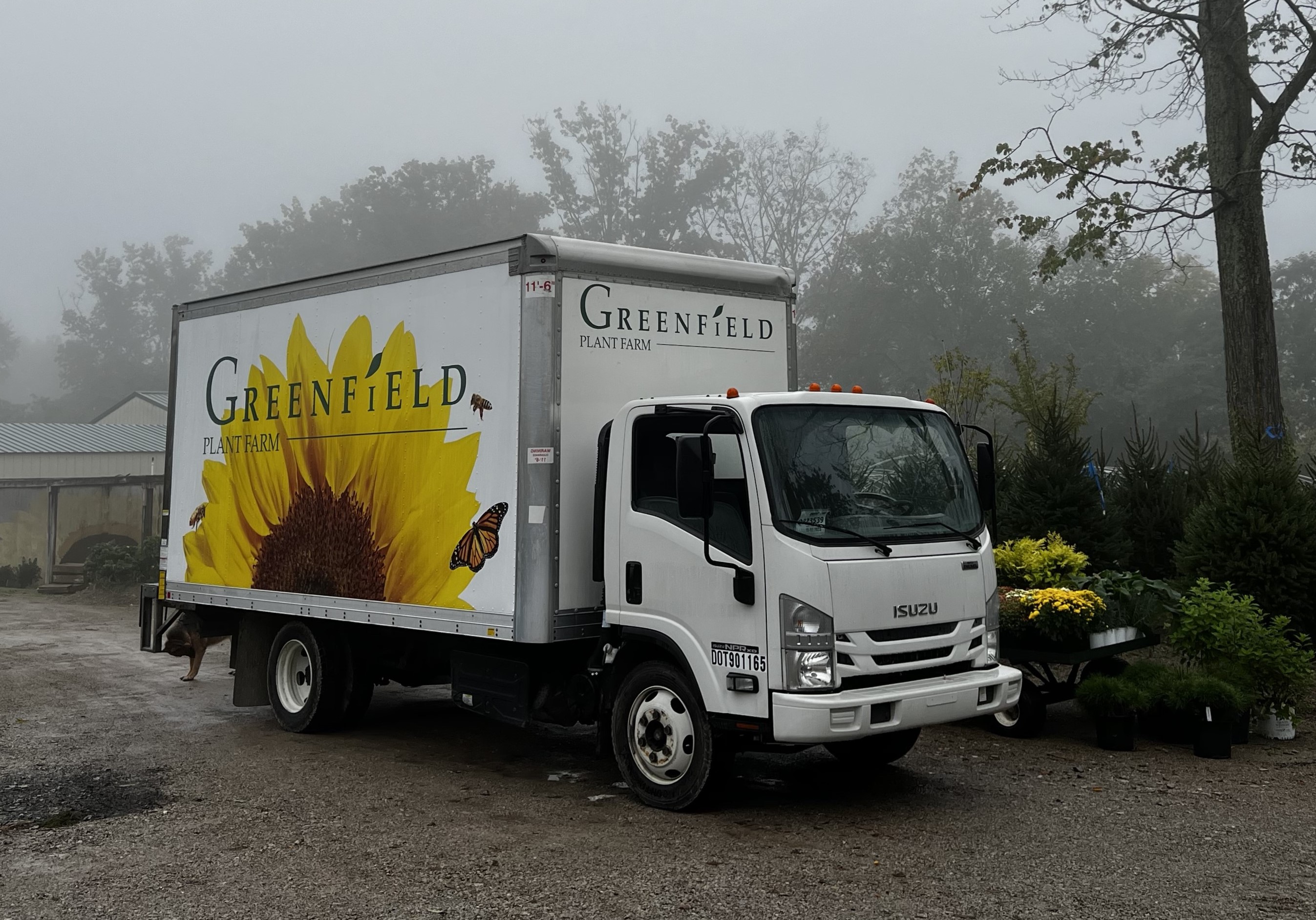 Sunflower truck wrap